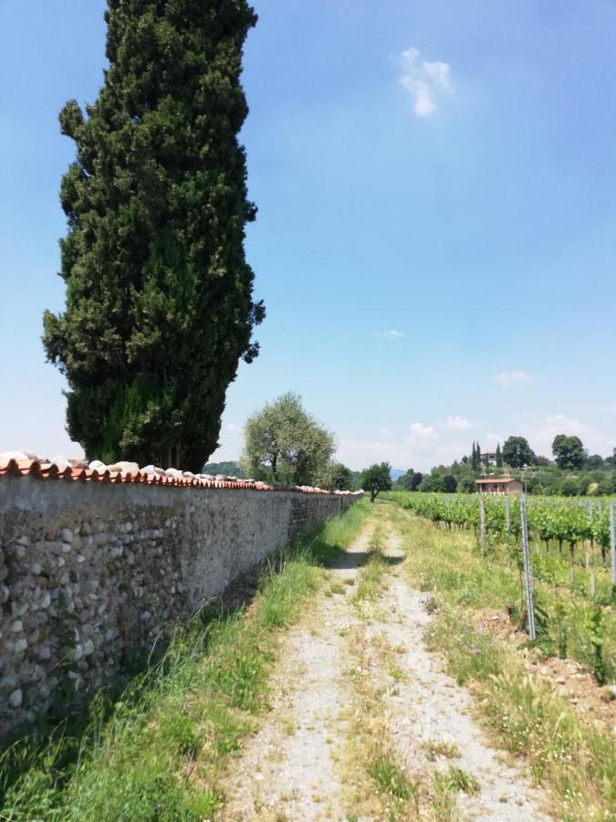 パッシラーノFranciacorta Flat & Bollicineアパートメント エクステリア 写真
